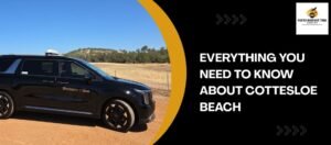 Everything You Need to Know About Cottesloe Beach
