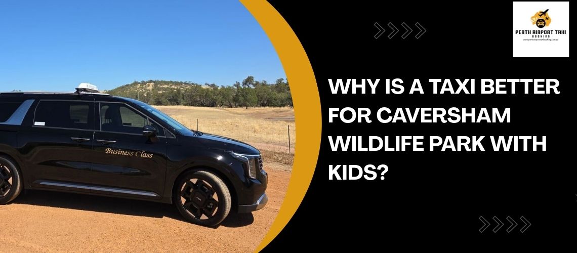 Why is a Taxi Better for Caversham Wildlife Park With Kids